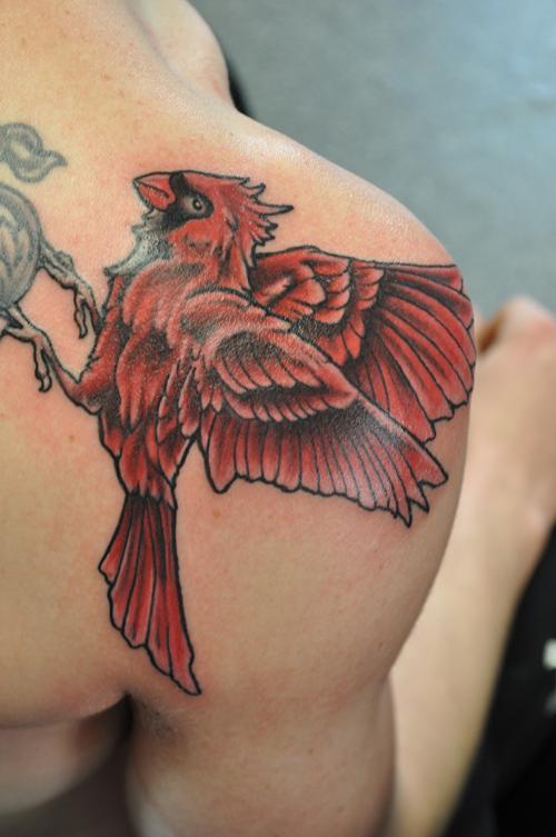 A cardinal (bird) tattoo on a shoulder 